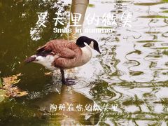 -北京动物园