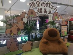-凯德MALL(西直门店)