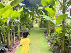 -呀路古热带植物园