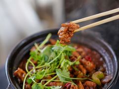 鸡鸡蛙蛙中煲-川香煲(茅台路店)