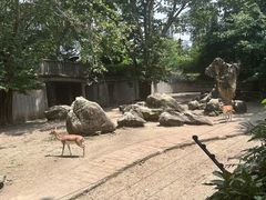 -成都动物园