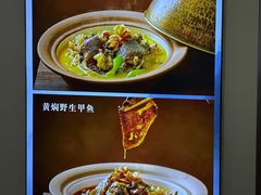 -洞庭家宴·头牌甲鱼(广渠门店)