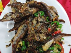-蛇口康乐快餐鱼仔档(翠苑小区店)