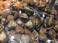 -白洋淀灶台鱼(名佳花园店)