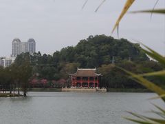 -顺峰山公园