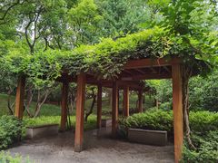 -徐家汇源景区-衡山公园