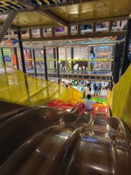 -卡通尼·Safari非洲探索乐园·生日会(金桥国际商业广场店)