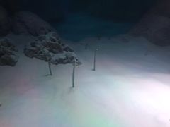 -暹罗海洋世界