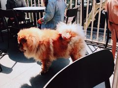-Ginger(兴国路店)