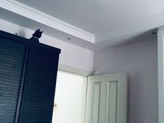 -宠爱国际动物医院·疑难骨科·心肾内科·皮肤科(太阳宫店)