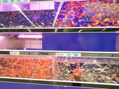 -大润发(王庄店)