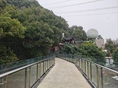 -巴倒烫陆派火锅山庄(南山总店)