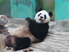 -杭州野生动物世界