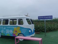 -杭州湾海上花田景区