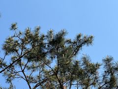 -东北大学(南湖校区)