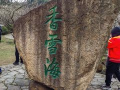 -香雪海