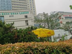 -山东大学齐鲁医院(青岛院区)