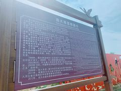 -大港湿地公园