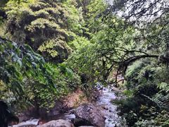 -西岭雪山大飞水景区
