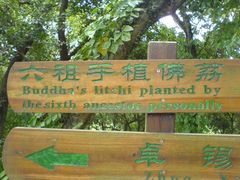 -国恩寺