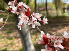 -梁鸿国家湿地公园