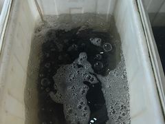 -夏家大锅台炖鱼馆