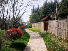 -上海海湾国家森林公园