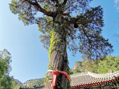 -北京上方山国家森林公园