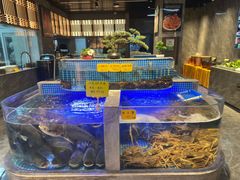 -味钱塘·钱塘浙宴(宋城之江银泰店)
