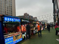 -复旦软件园