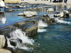 -永定河休闲森林公园