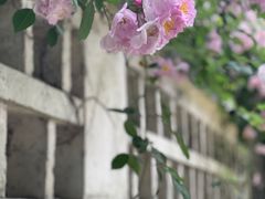 -夏朵花园(复兴西路店)