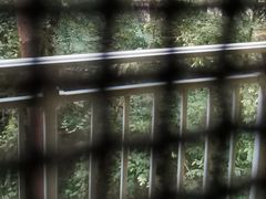 -保利石象湖景区