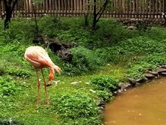 -昆明动物园