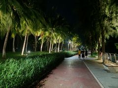 -万绿园