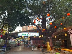 -绿雅居原生态农庄(小涌店)