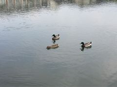 iphone_upload_pic-杭州世外桃源君澜度假酒店