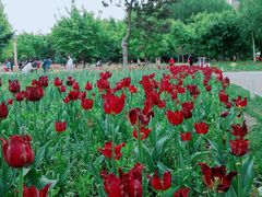 -长春公园(普阳街道)