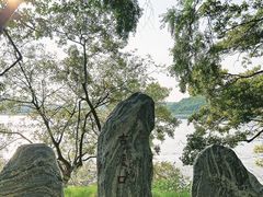 -平湖九龙山旅游度假区