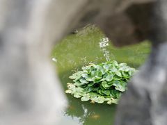 -个园