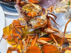 -鑫悦楼煎蟹·16年海鲜大排档