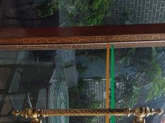 -陶然居·重庆菜(南滨路店)