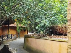 -海南槟榔谷黎苗文化旅游区
