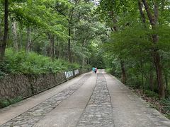 -紫金山山顶公园