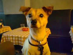 -拆调计划音乐酒吧(上海新世界休闲生活广场店)