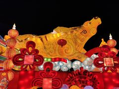 -武汉园博园(武汉自然博物馆)