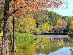 -云溪植物园
