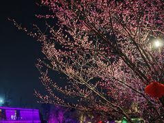 -成飞公园