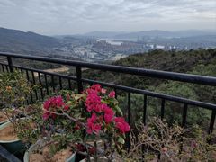 -福州海峡文化艺术中心