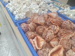 -崂山风景区-大河东游客中心